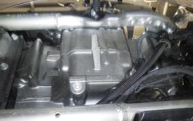 HARLEY FLSTFI1920 2025
