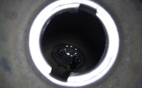 HONDA C50 SUPER CUB C50