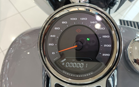 HARLEY  HARLEY FLFBS 2025 YGK