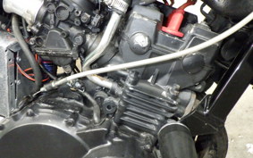 HONDA HORNET 250 MC31