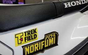 HONDA CRF250L 2025 MD47