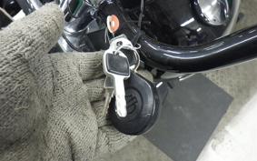 HARLEY FLSL 1750 2020