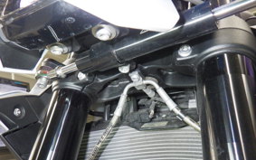 BMW M1000R 2024