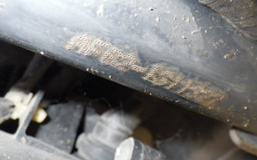 HONDA DIO Gen.6 AF62