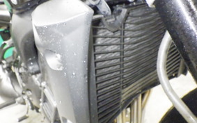 YAMAHA FZ1 FAZER 2013 RN21J