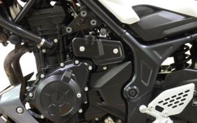 YAMAHA MT-25 RG10J