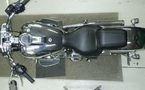 HARLEY FLSTFI1920 2025