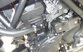 YAMAHA MT-25 2024 RG10J