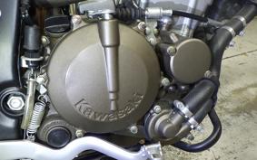 KAWASAKI KLX250 2014 LX250E