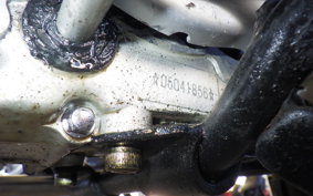 OTHER +UNREGISTERED MODEL by BDS 2022