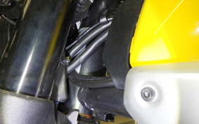 DUCATI SCRAMBLER ICON 2024