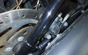 HARLEY FXBB1750 2020