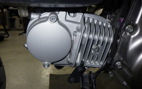 HONDA MONKEY 125 ABS 2024 JB02