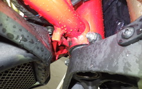 DUCATI MONSTER 696 2008