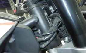 OTHER UNREGISTERED MODEL by BDS125 2010