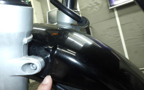 HONDA VTR 250 Gen. 2 2002 MC33