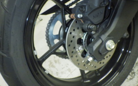 KAWASAKI ZX-4RR 2025 ZX400P