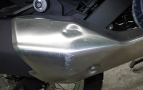 KAWASAKI VERSYS-X 250 A 2008 LE250D