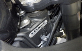 KAWASAKI NINJA 1000 A 2019 ZXT00W