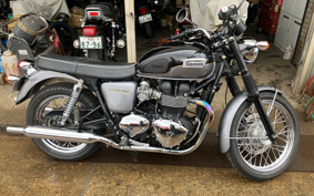 TRIUMPH BONNEVILLE T100 2013 TJ9157
