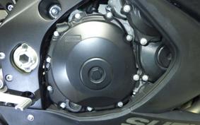 SUZUKI GSX-R1000 2010