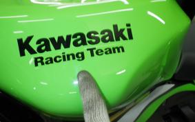 KAWASAKI NINJA ZX-6R A 2025 ZX636J