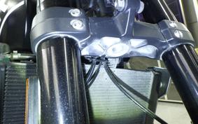 TRIUMPH TRIDENT 660 2021