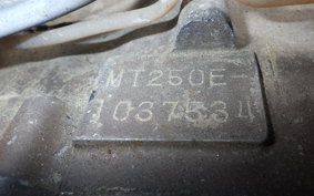 HONDA ELSINORE 250 MT250