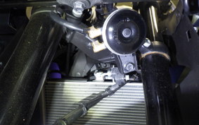 YAMAHA YZF R-3 2025 RH25J