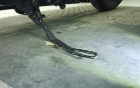 HARLEY XL1200NS 2018