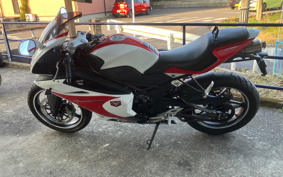 OTHER  MEGA RI250R LWGYDNL