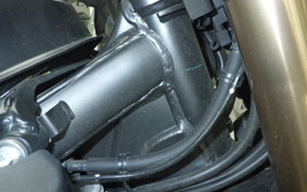 HONDA CRF250L MD47