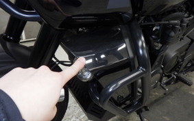 HARLEY ﾊﾟﾝ AMERICA1250S 2021