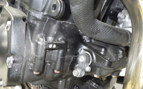 KAWASAKI Z900RS 2023 ZR900K