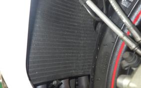 TRIUMPH DAYTONA 675 R 2016