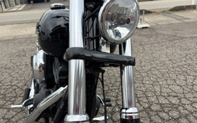 HARLEY HARLEY FXDB1580 2017 GXM
