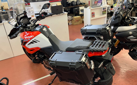 SUZUKI DL1050 (V-Strom 1050) 2020 EF11M