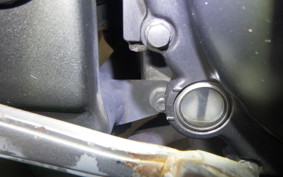 KAWASAKI NINJA 250 ABS EX250L