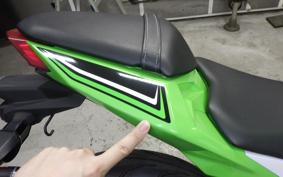 KAWASAKI NINJA 250 2007 EX250L