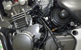 HONDA HORNET 250 2022 MC31