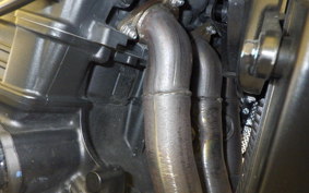 TRIUMPH SPEED TRIPLE RR 2024