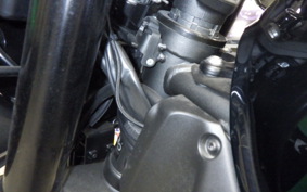 KAWASAKI Z900RS CAFE 2024 ZR900K