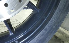 INDIAN FTR1200 carbon 2022