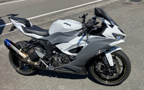 KAWASAKI NINJA ZX-6R 2020 ZX636G