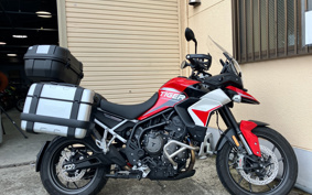TRIUMPH TIGER 900GTARAGON 2023 TRE64D
