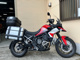 Фото Triumph TIGER 900GTARAGON 2023 с японского аукциона