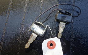 HONDA LITTLE CUB E AA01