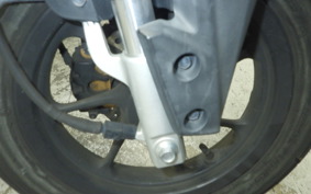 HONDA ZOOMER-X 2024 JF52
