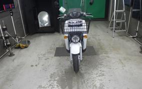 HONDA ﾍﾞﾝﾘｨ50-2 2006 AA05