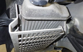 YAMAHA WR250R 2024 DG15J